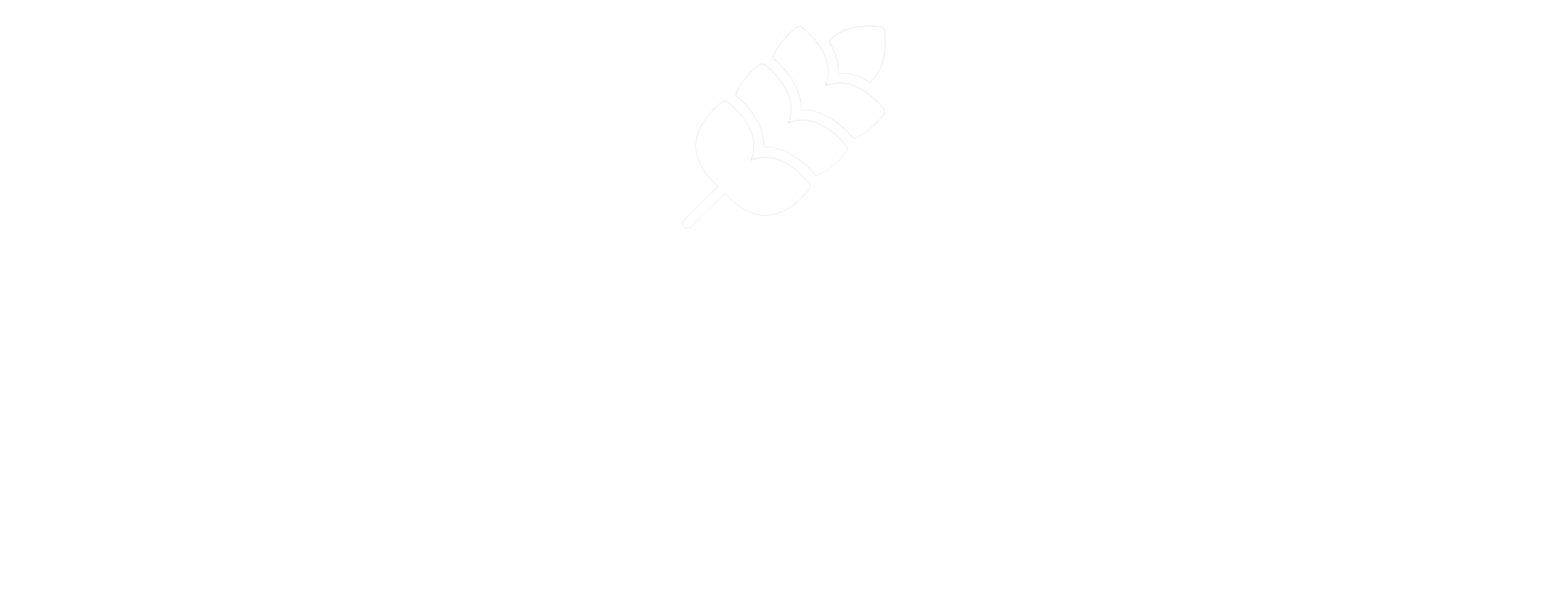 hero logo