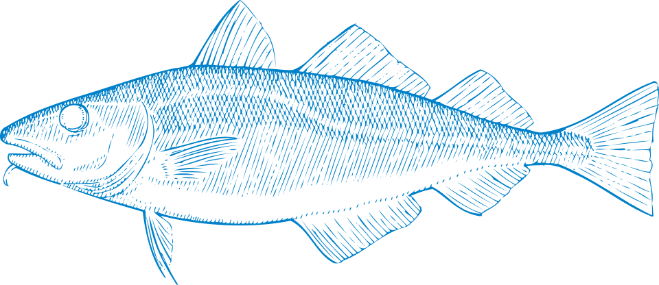 fish decor